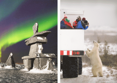 Polar Bears & Northern Lights in Churchill Manitoba