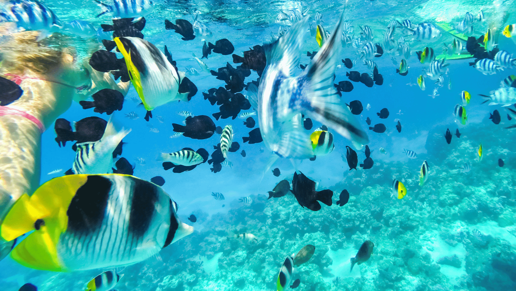 Hawaii to Tahiti with Oceania Cruises