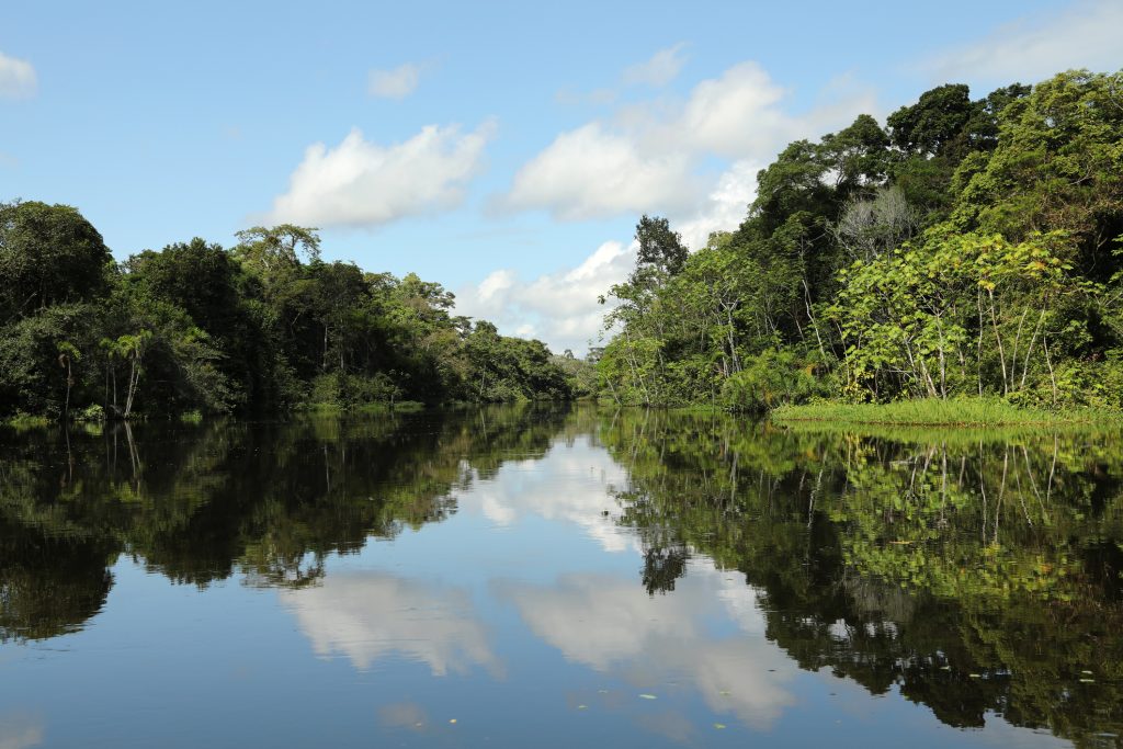 River Cruise at Peruvian Amazon - Sharon Carr Travel