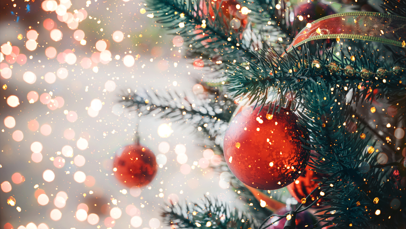 Harding Germany Christmas River Cruise