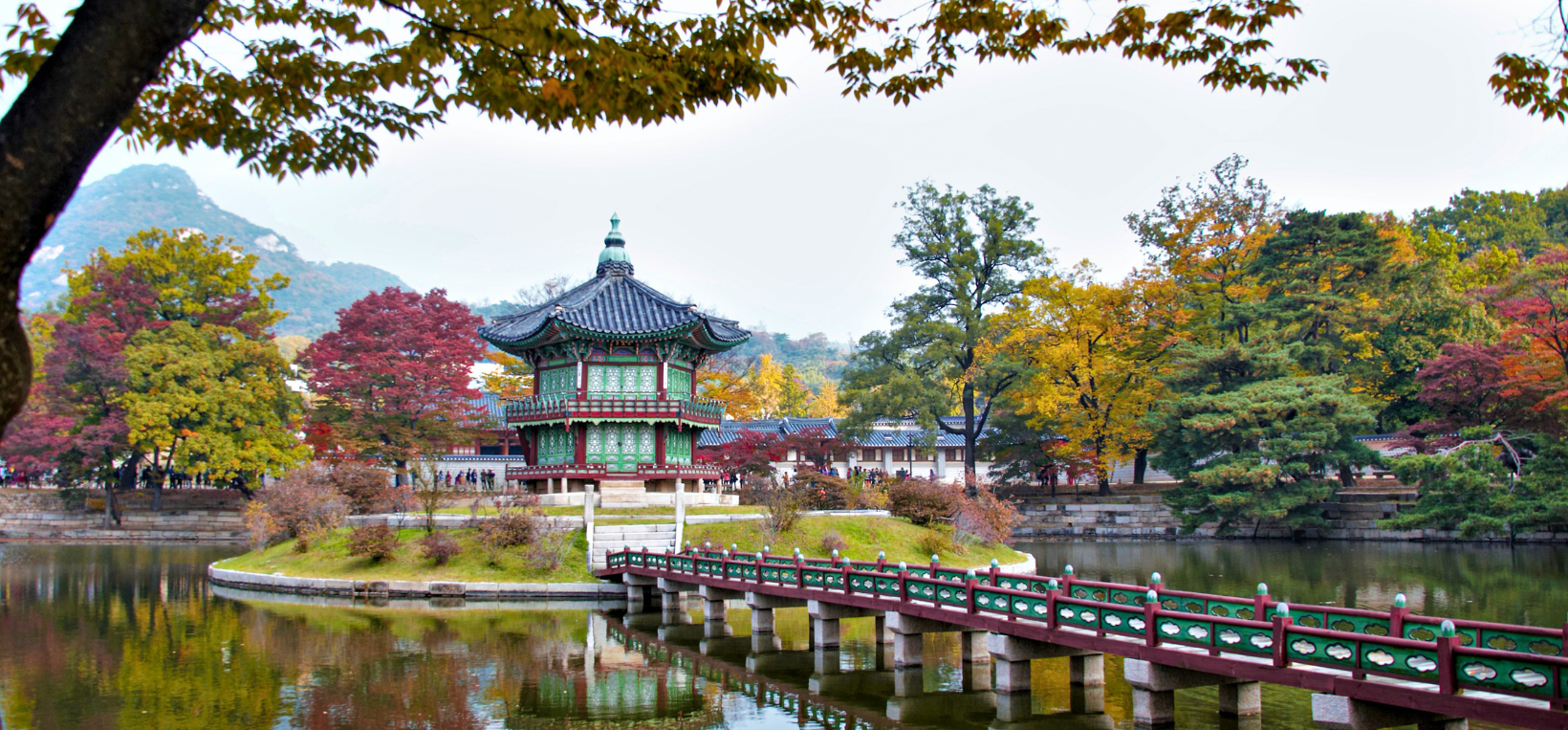 Sakura Season Highlights